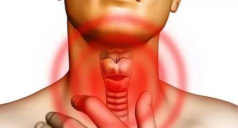Новая услуга - УЗИ щитовидной железы и паращитовидных желез с проведением эластографии. 