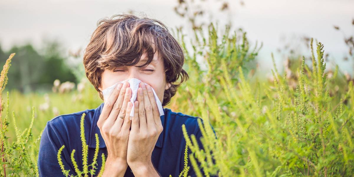 Особенности сезонной аллергии летом