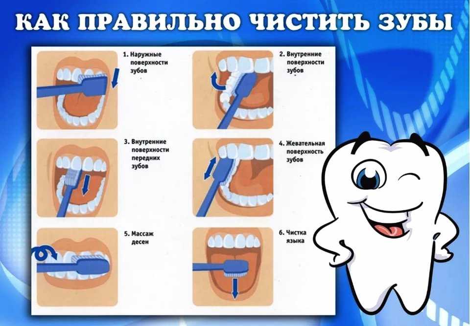 Правильная чистка зубов – залог здоровья и красивой улыбки  